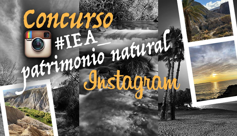 concurso instagram 2026