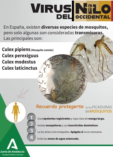 Recomendaciones Virus del Nilo