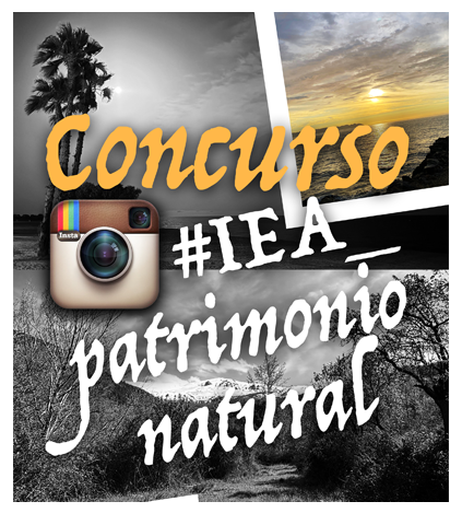 concuros instagram 2026